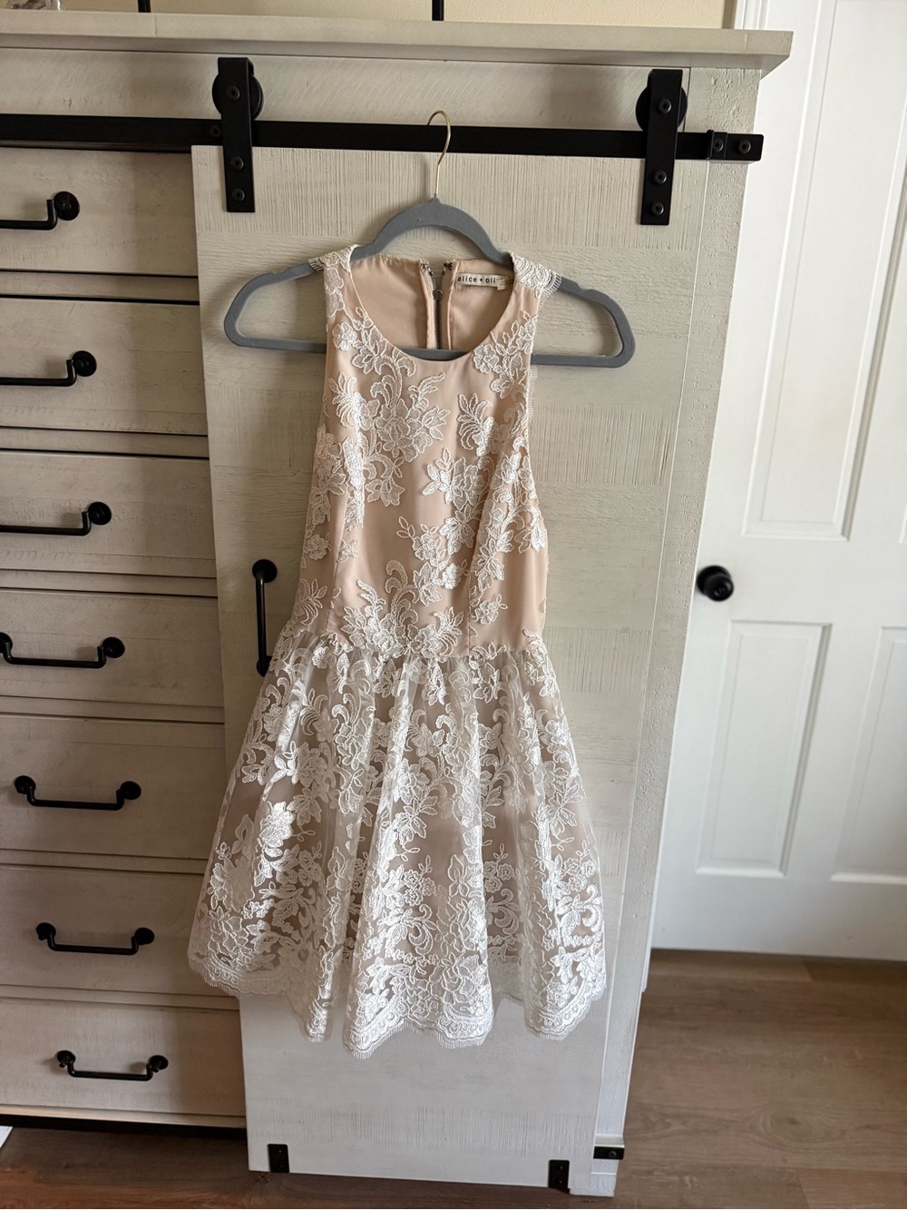 Alice + Olivia Sleeveless Lace Overlay Dress in Nude
